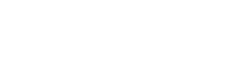 Best Immigration Lawyer, Attorneys in NYC, New York, NJ Wildes & Weinberg, P.C.